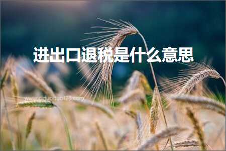 跨境电商知识:进出口退税是什么意思+